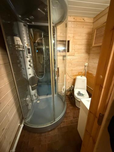 a bathroom with a shower and a toilet at Hytta Kilpisjärvi in Kilpisjärvi