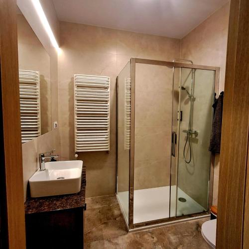 a bathroom with a shower and a sink at Park View Olszynki Park in Rzeszów