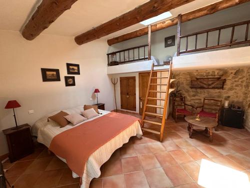a bedroom with a bunk bed and a ladder at Le Degoutaud in Le Barroux