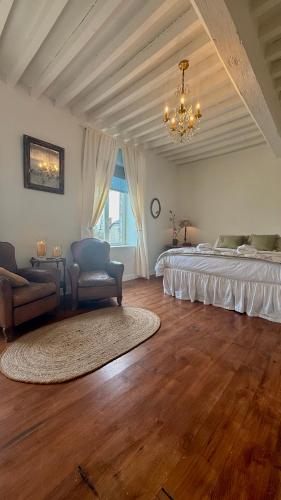 a large bedroom with a bed and a chandelier at La vie en rose in Brinay