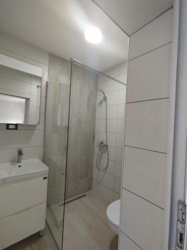 a bathroom with a shower and a toilet and a sink at Apartments Svetlana in Utjeha