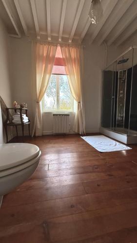 a bathroom with a toilet and a window at La vie en rose in Brinay