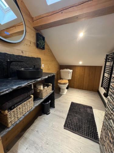 a bathroom with a toilet and a sink and a mirror at L'ANTRE Deux LACS avec parking et garage in Xonrupt-Longemer