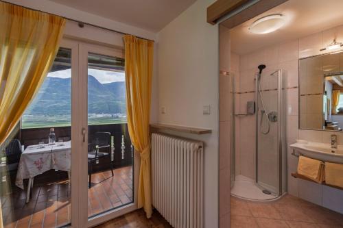 a bathroom with a shower and a sink and a toilet at Hotel Törggelehof in Cermes