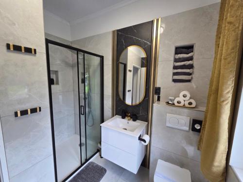 a bathroom with a shower and a sink and a mirror at Guesthouse EL in Ogulin