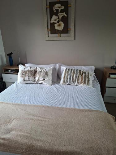 a bed with two pillows on top of it at Dpto Nuñez in Buenos Aires