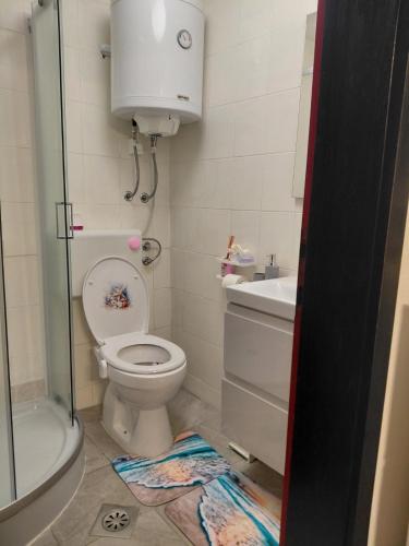 a small bathroom with a toilet and a sink at Apartma Romeo in Piran