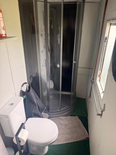 a small bathroom with a toilet and a shower at Chambre d'hôte Mles bêtes in Avensan