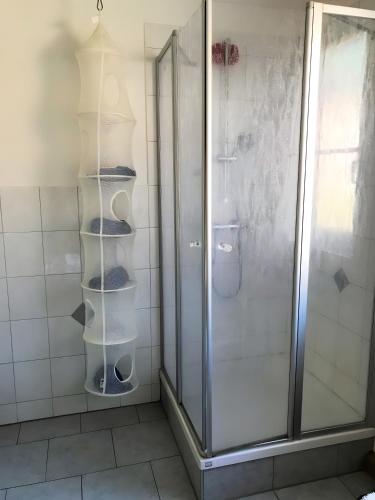 a bathroom with a shower and a glass shower stall at Herrenhaus Gut Buchenhof in Römhild