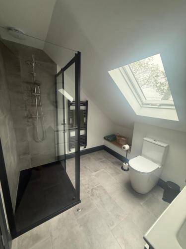 a bathroom with a shower and a toilet with a skylight at Rosies Lodge in Kilkenny