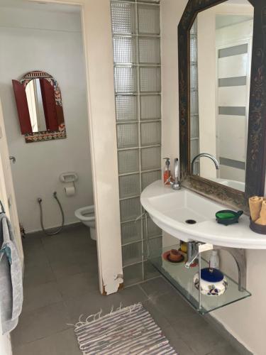 a bathroom with a sink and a mirror at Beau Rez de Jardin in Ariana