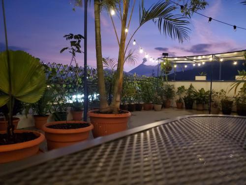 a patio with palm trees and lights on a balcony at Hotel & Restaurante Teresàs Bistro in Antigua Guatemala
