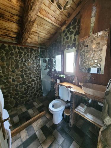 a bathroom with a toilet and a sink at Cabana Noah Rustic in Vîlcăneşti
