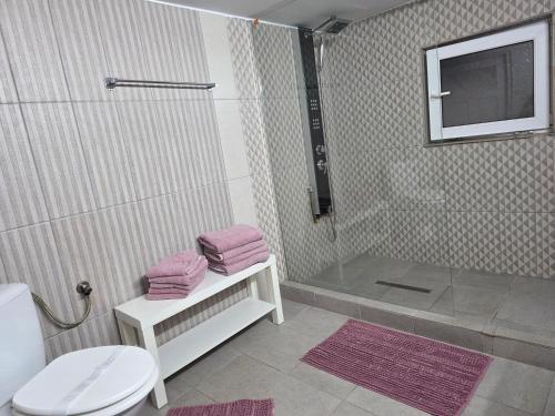 a bathroom with a shower and a toilet and a sink at Vila Adina in Eforie Nord