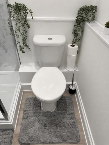 a white toilet in a bathroom with plants at The Studio Room in Brentwood