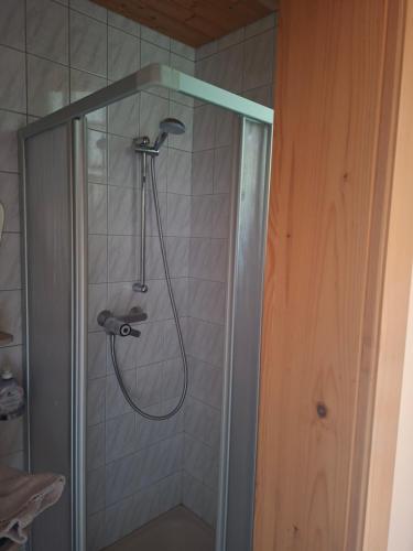 a shower with a shower head in a bathroom at FerienwohnungenKRAINZ in Dobein