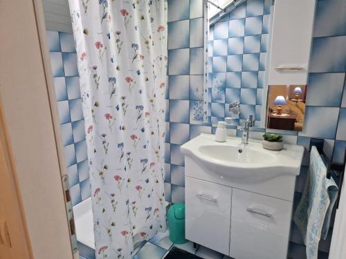 a bathroom with a sink and a shower curtain at Baka Jaka in Lumbarda