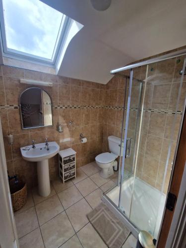 a bathroom with a shower and a toilet and a sink at Dee's Nest in Dingle