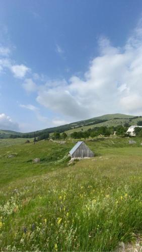 an old barn in a field of grass at Autocamp Kotari in Plužine