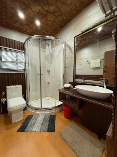 a bathroom with a shower and a sink and a toilet at Lord Palace Houseboat in Srinagar