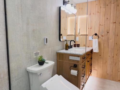 a bathroom with a toilet and a sink and a mirror at Pine Haven Tahoe-Cabin with Fire Pit, Grill & EV Charger in South Lake Tahoe