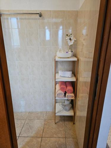 a walk in shower with a shelf with donuts on it at Apartment Tičić in Povljana