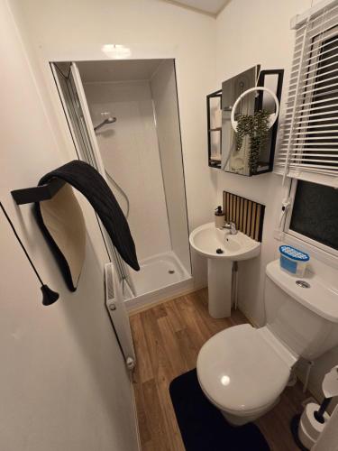 a bathroom with a white toilet and a sink at D&D Getaways in Hull