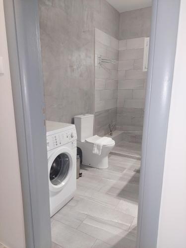 a bathroom with a washing machine and a toilet at Claudia's Apartments in Aliveri