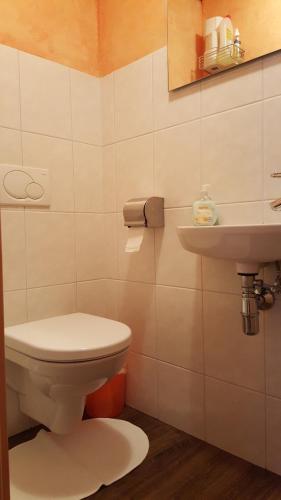 a bathroom with a toilet and a sink at Ferienhaus Gundi in Pettneu am Arlberg