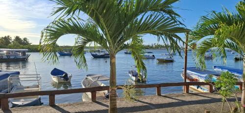 a palm tree in front of a body of water with boats at Mar à Vista Boipeba Frente Mar by LVF in Ilha de Boipeba