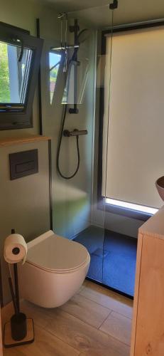 a bathroom with a shower with a tub and a toilet at Tinyhouse am Bach, 3144 Wald in Wald