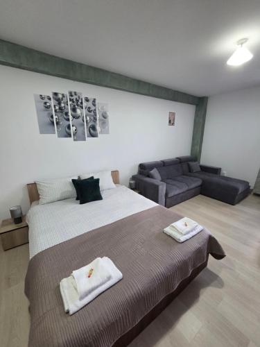 a bedroom with a large bed and a couch at Castle Csányi in Livezeni