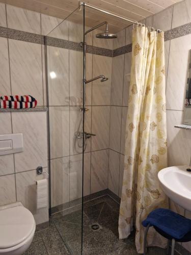 a bathroom with a shower and a toilet and a sink at Ferienweingut Schäfer in Niedersteinbach
