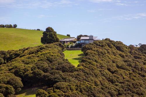 a house on top of a hill with trees at Waiheke Luxury Blue and Green Rooms in Ostend