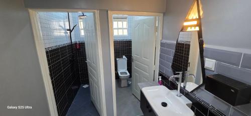a bathroom with a sink and a toilet at The Amanda Bed & Breakfast in Migori