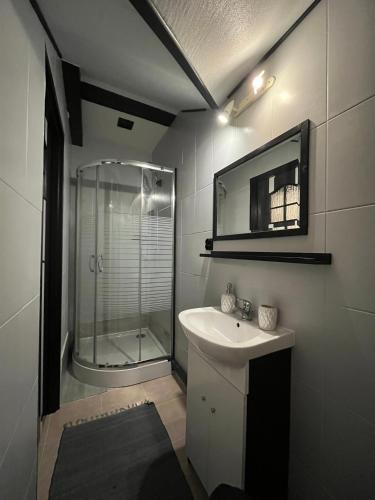 a bathroom with a shower and a sink and a mirror at Noclegi U Waldiego in Starachowice