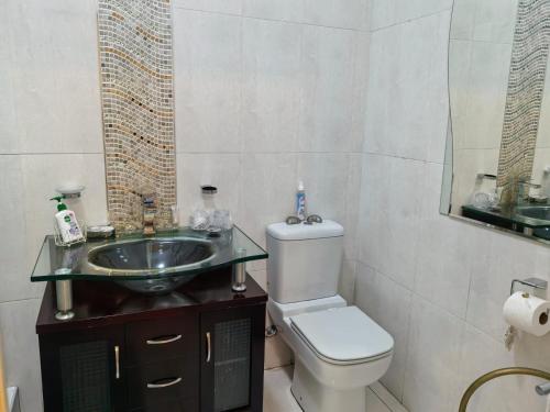 a bathroom with a sink and a toilet and a mirror at Ronique's Guest House in Rustenburg