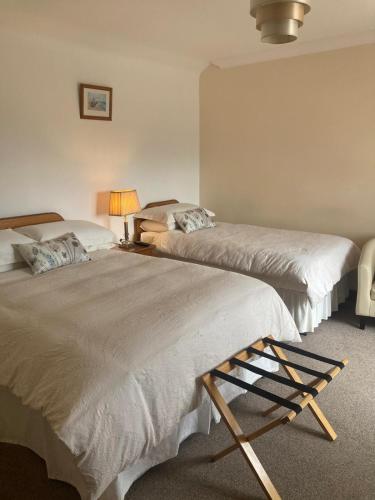 a bedroom with two beds and a lamp and a lamp at Islandview House in Clonbur
