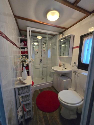 a bathroom with a shower and a toilet and a sink at Mobilheim Chalet Chicco in Steinach