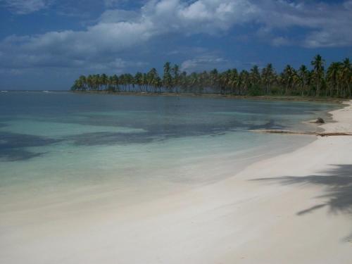a beach with a group of palm trees and the ocean at Villa La Caleta in Las Galeras