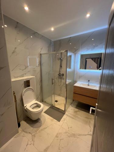 a bathroom with a toilet and a shower and a sink at Maison 3 chambres in Strasbourg