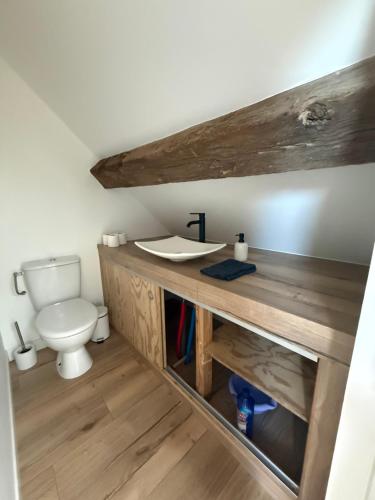 a bathroom with a sink and a toilet at La Motte Feuilly in La Motte-Feuilly