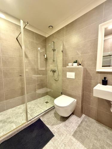 a bathroom with a shower and a toilet and a sink at Matas old town apartment in Kaunas
