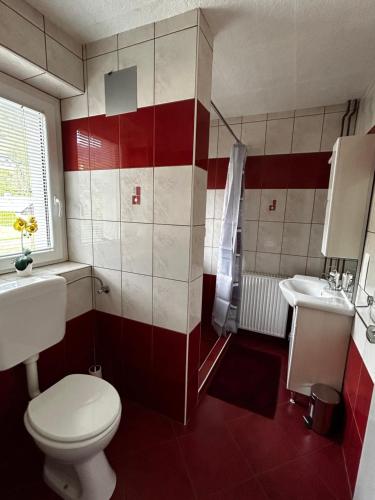 a bathroom with a toilet and a sink at Rooms Zima in Žirovnica