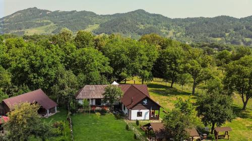 an aerial view of a house in the mountains at Pensiunea Cocoș in Spulber