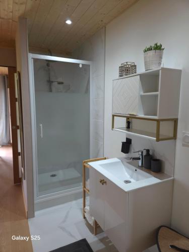 a bathroom with a white sink and a shower at le verger des Sy Pommier in Picauville