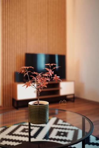 Boutique Apt above Karavan street