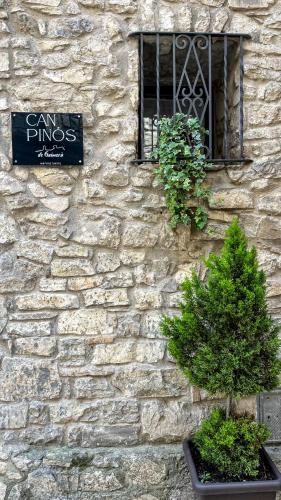 a stone wall with a window and two plants at CAN PINÓS de GUIMERÀ in Guimerá