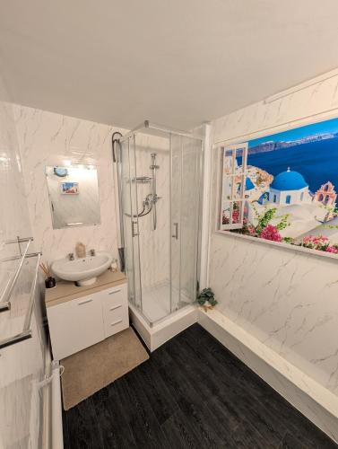 a bathroom with a shower and a sink at Private Studio Anex in Sherborne Saint John