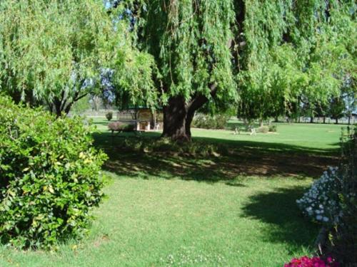 a park with a tree and benches in the grass at Moruya Motel in Moruya